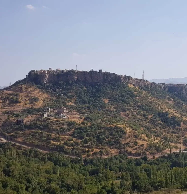 développement de réseaux d'affaire dans le monde